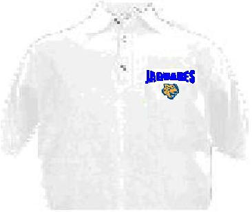 camisapolo.jpg